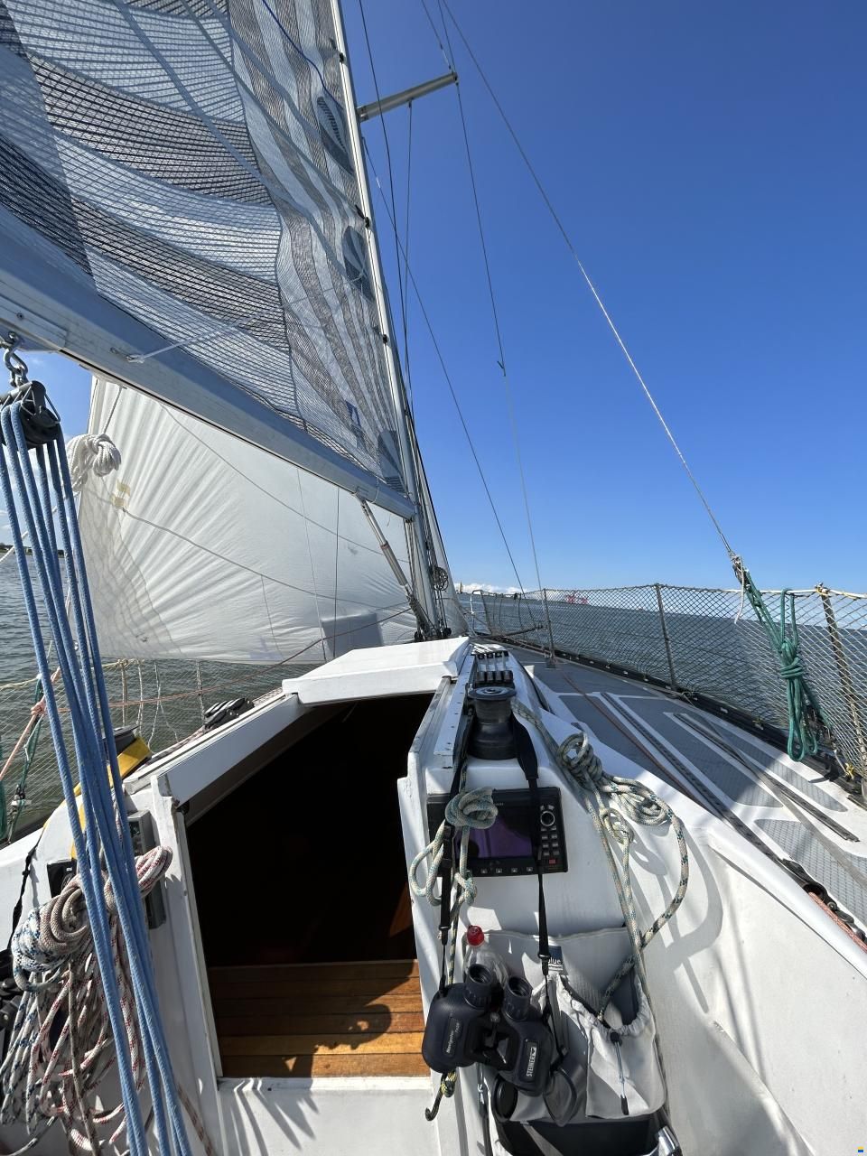 Helmsmann 31