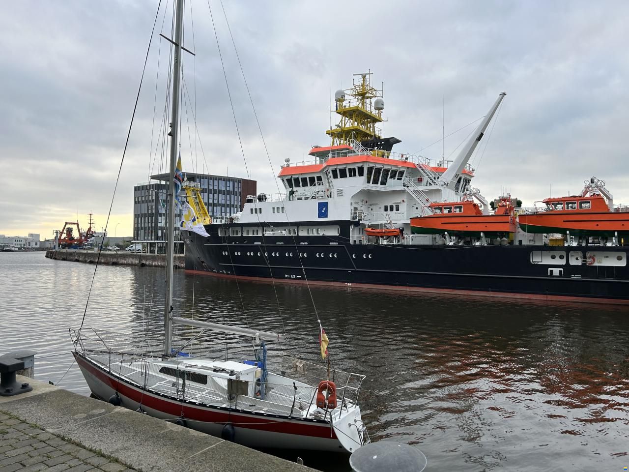 Helmsmann 31