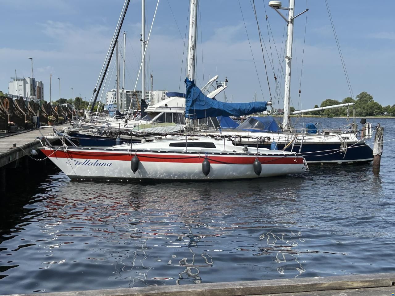 Helmsmann 31