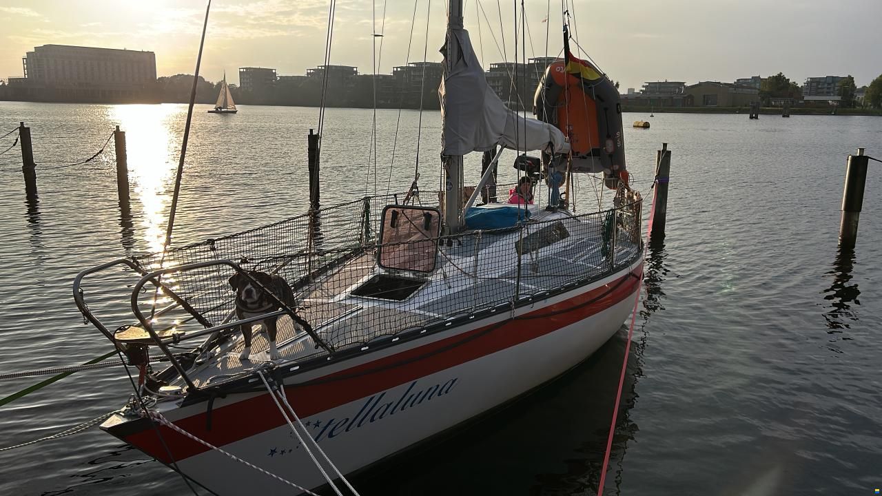 Helmsmann 31