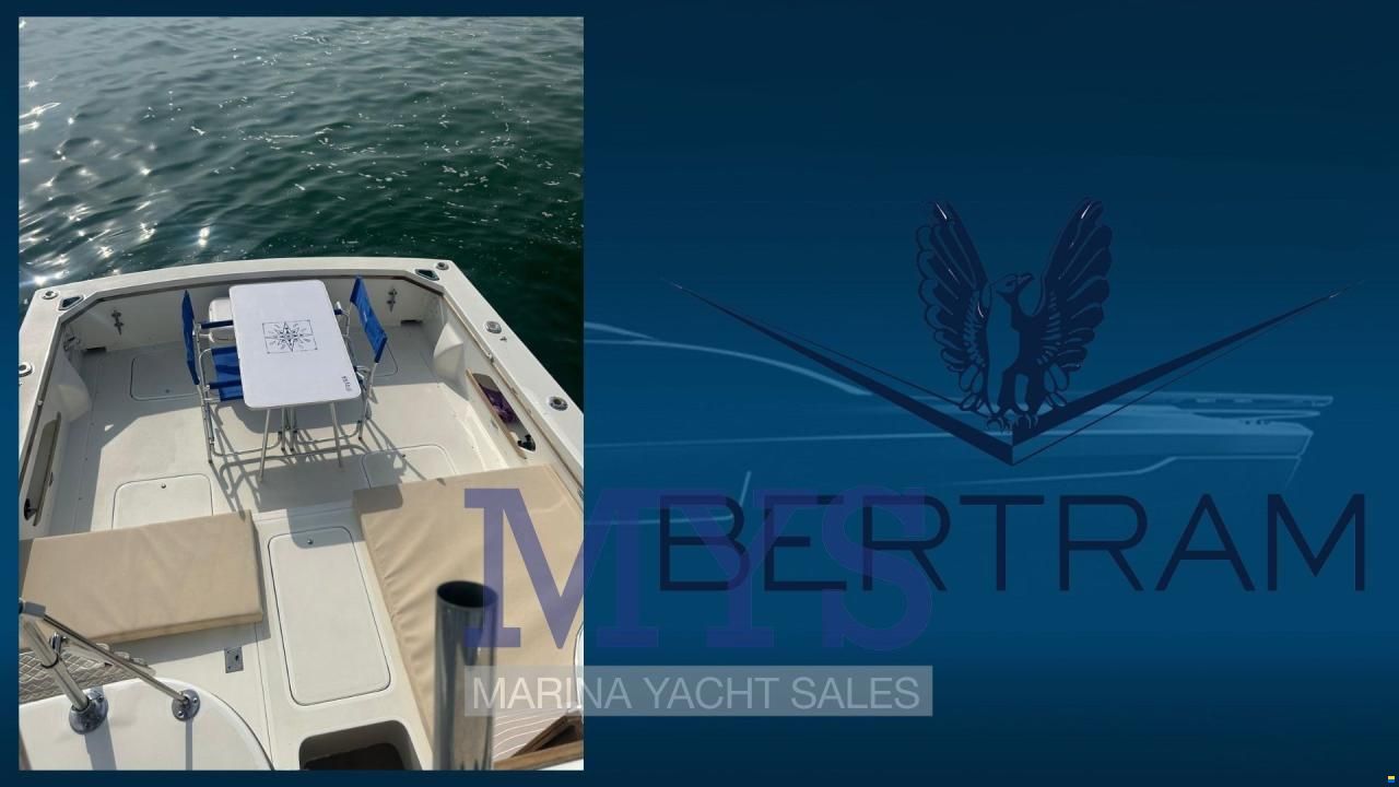 Bertram 28 Fly