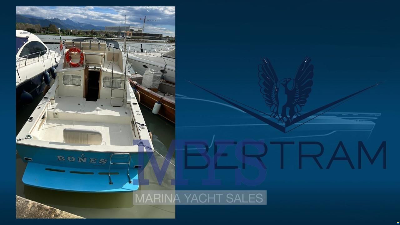 Bertram 28 Fly
