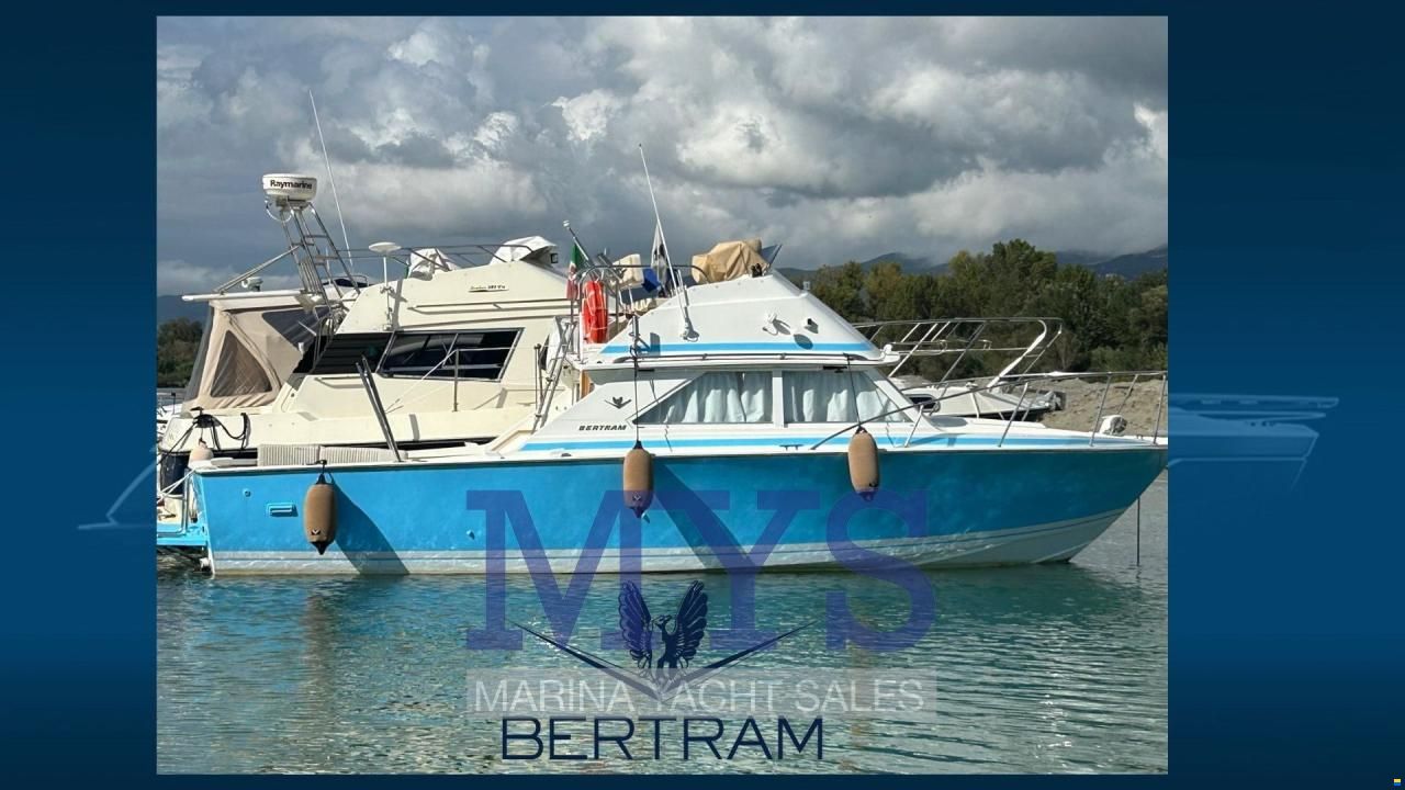 Bertram 28 Fly