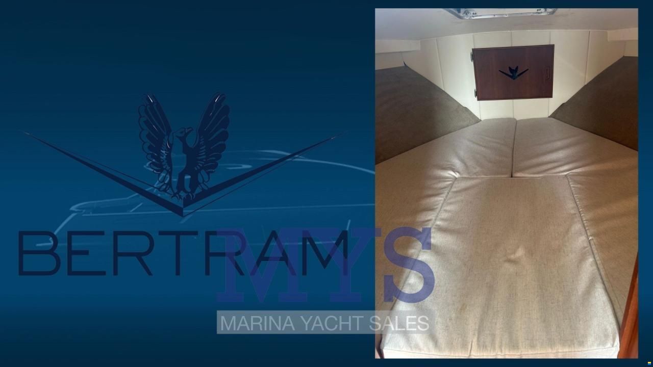 Bertram 28 Fly