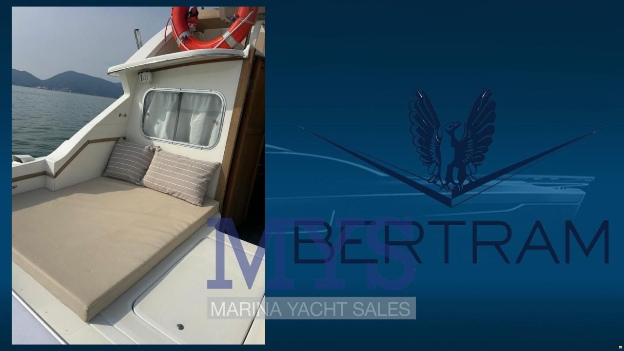 Bertram 28 Fly