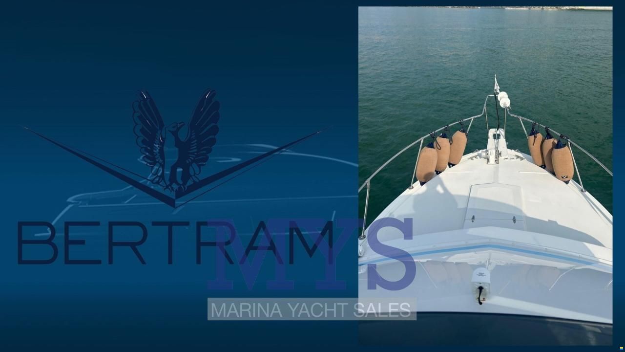 Bertram 28 Fly