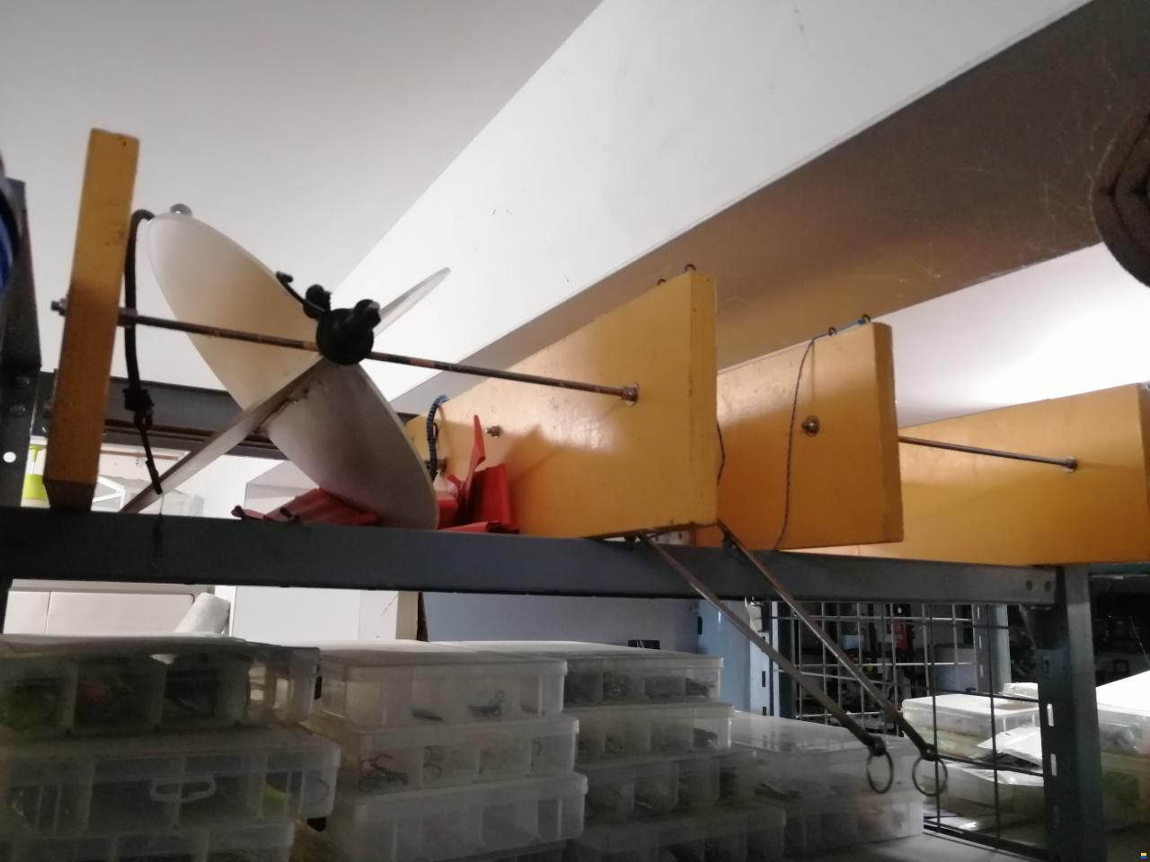 Ocqueteau Alienor 5.20