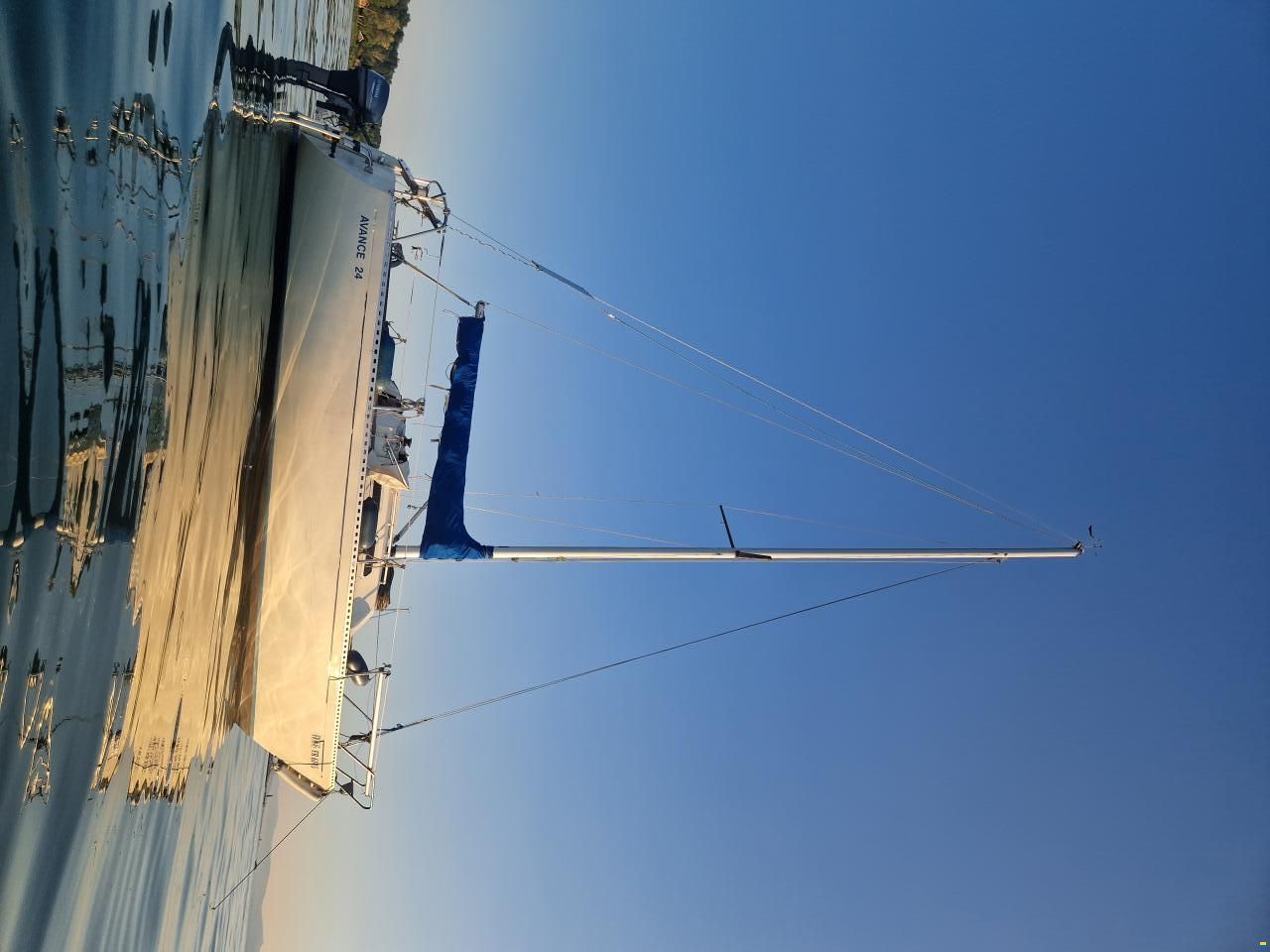 Oeja Batar Avance 24