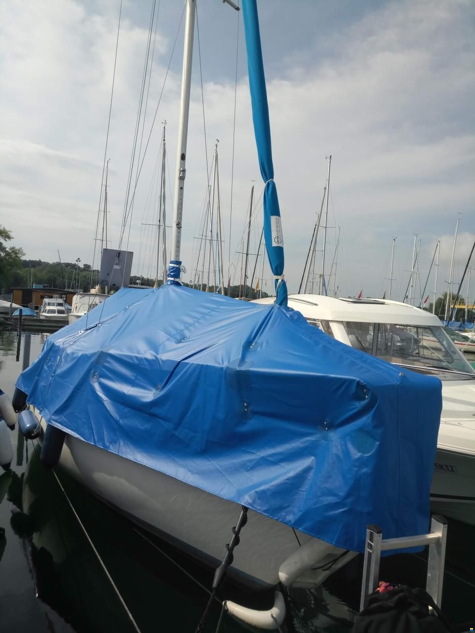 Oeja Batar Avance 24