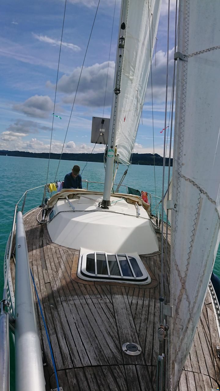 Oeja Batar Avance 24