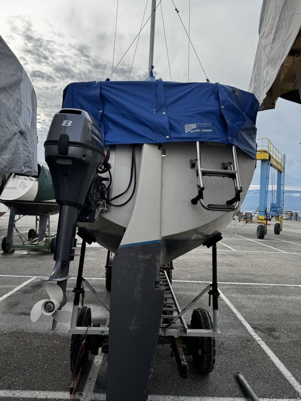 Oeja Batar Avance 24