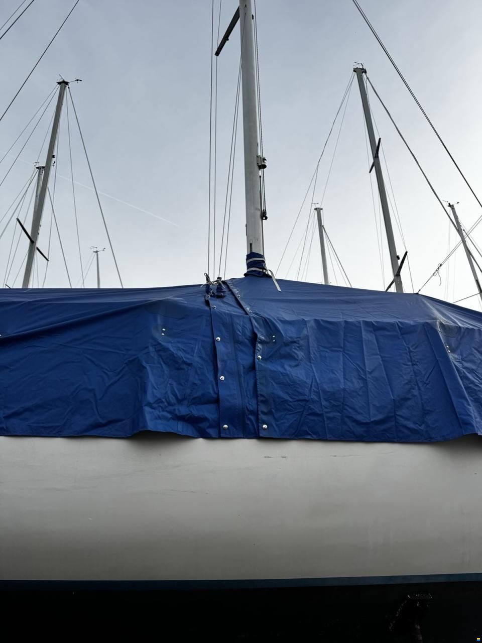 Oeja Batar Avance 24