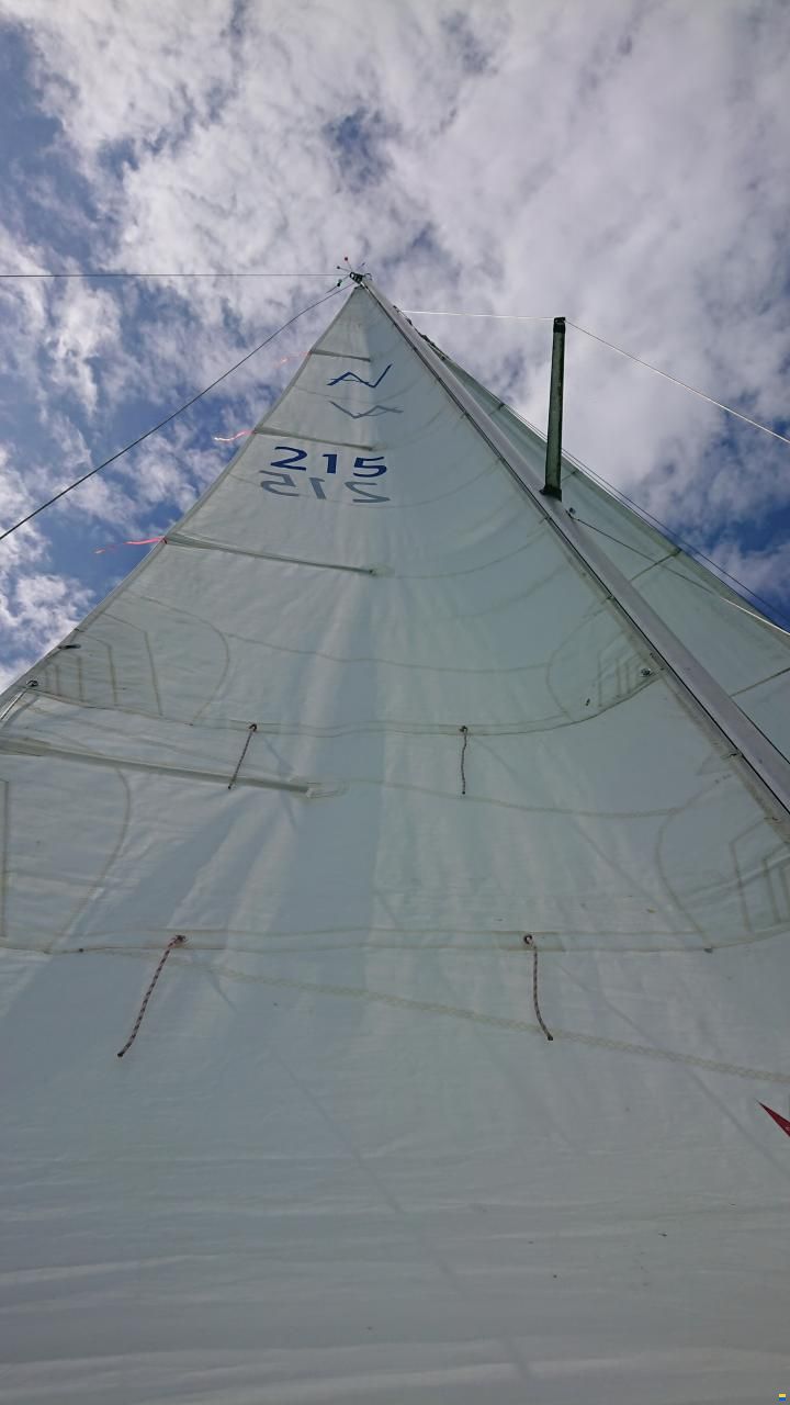 Oeja Batar Avance 24