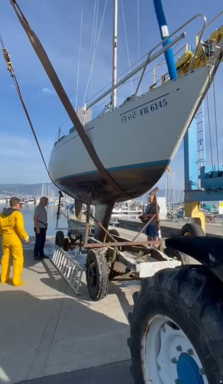 Oeja Batar Avance 24