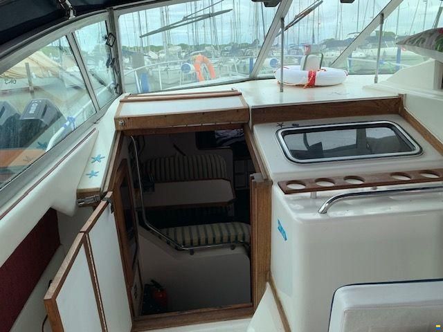 Sea Ray 34