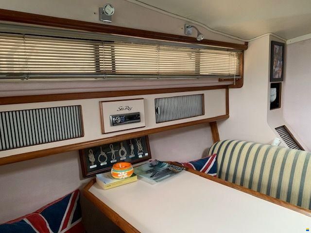 Sea Ray 34