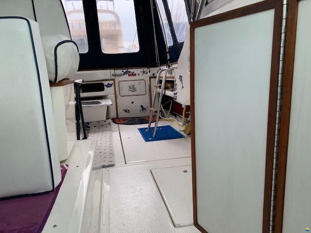 Sea Ray 34