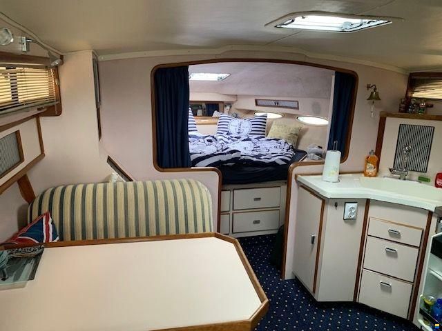 Sea Ray 34