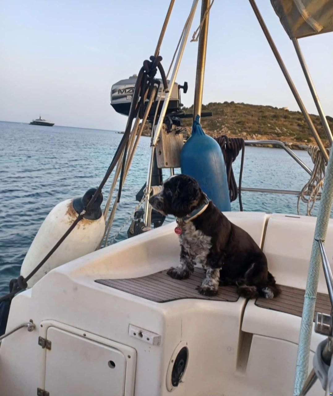 Bavaria 36-3 Holiday