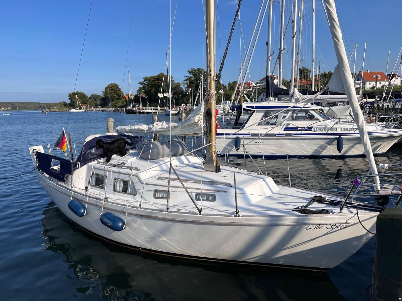 Fellowship 28