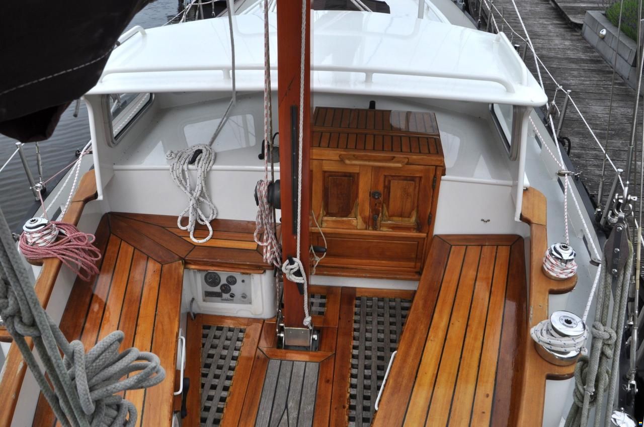 Danish Rose 31