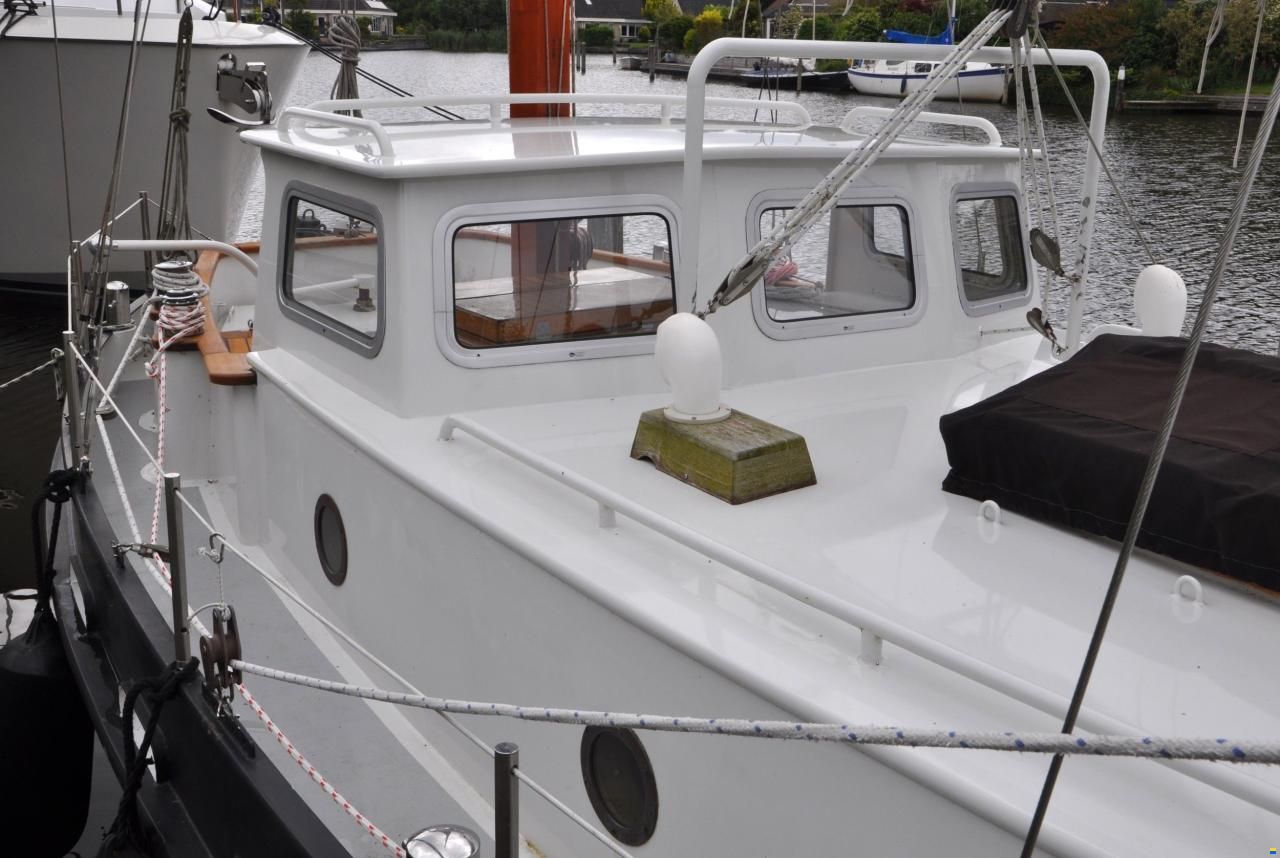 Danish Rose 31