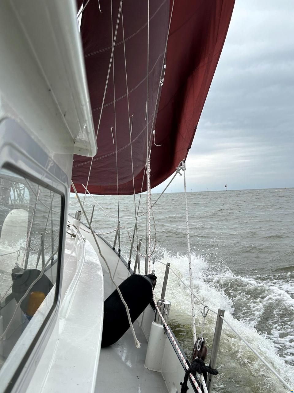 Danish Rose 31