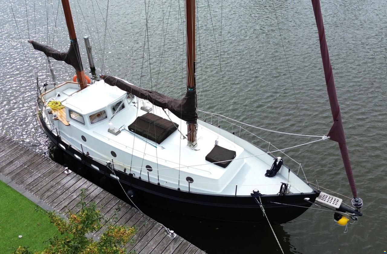 Danish Rose 31