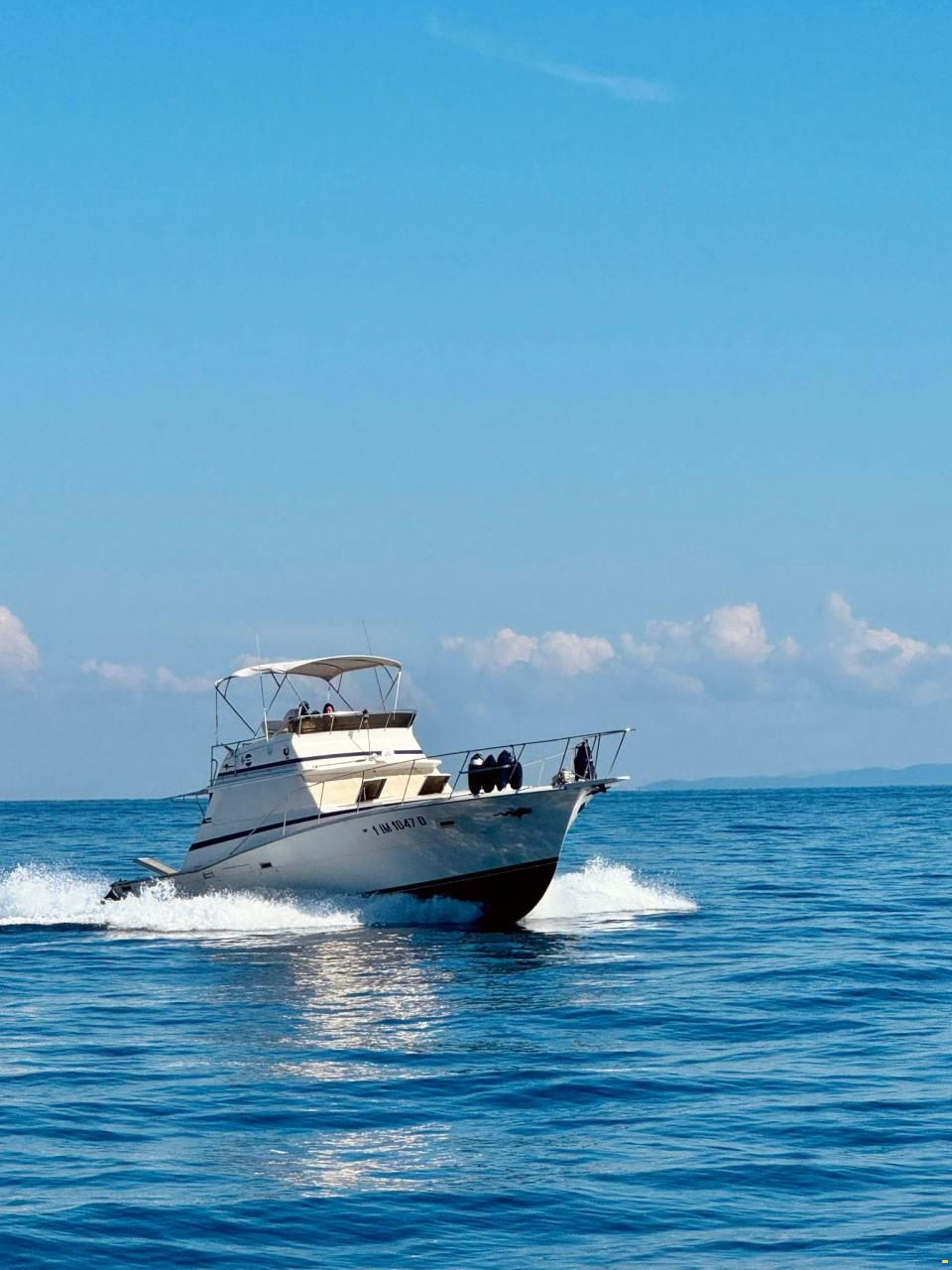 Viking 40