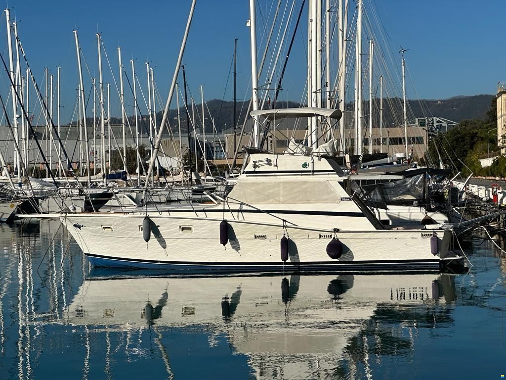 Viking 40