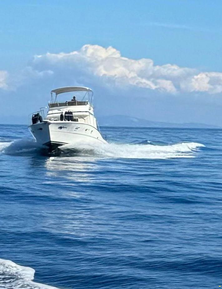 Viking 40