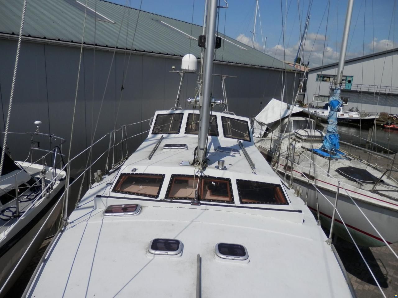 Reinke S11