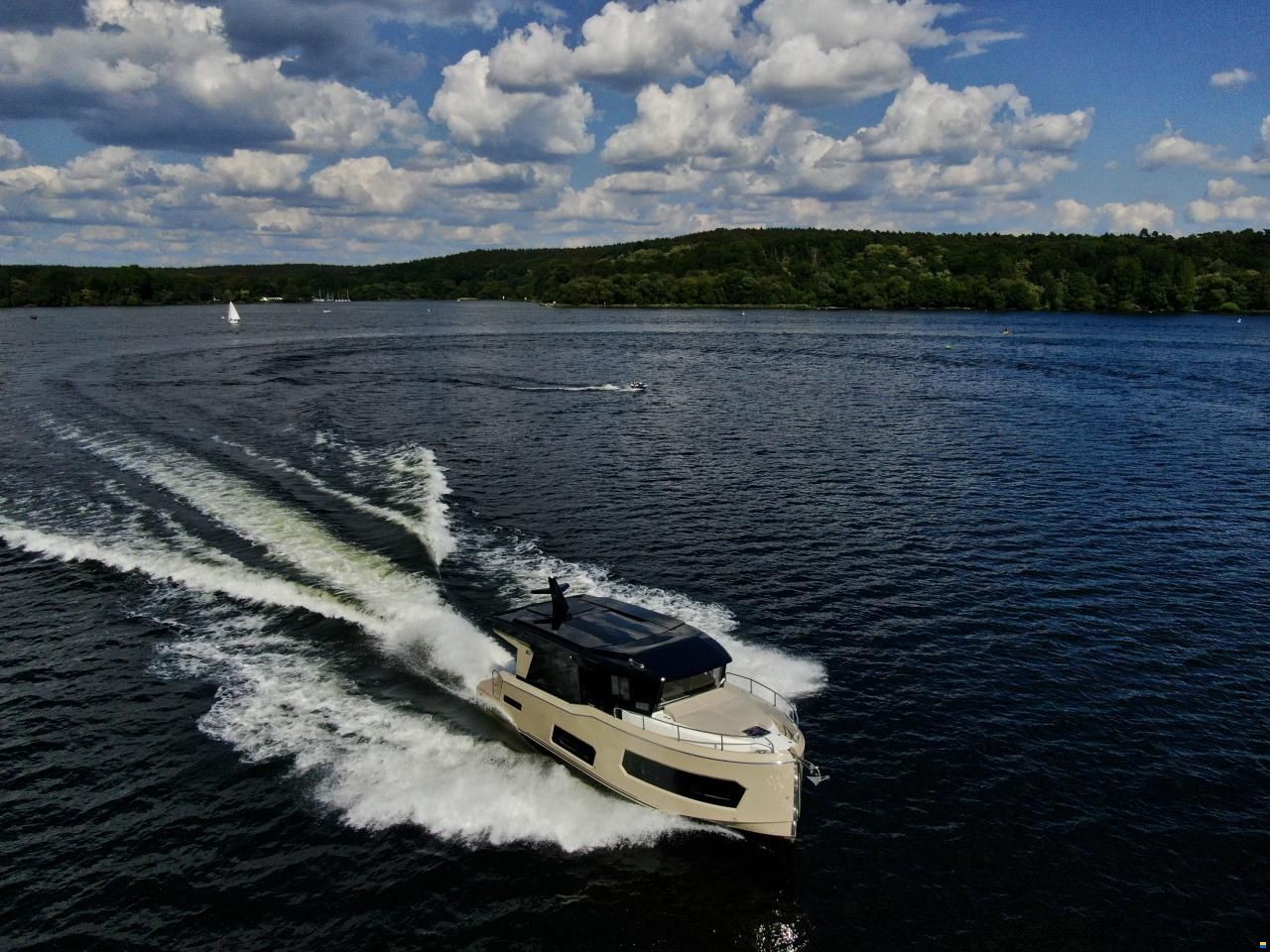 Cobra Campione 41 Coupe