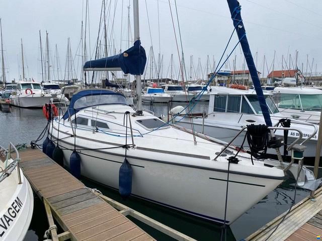 Maxi 800