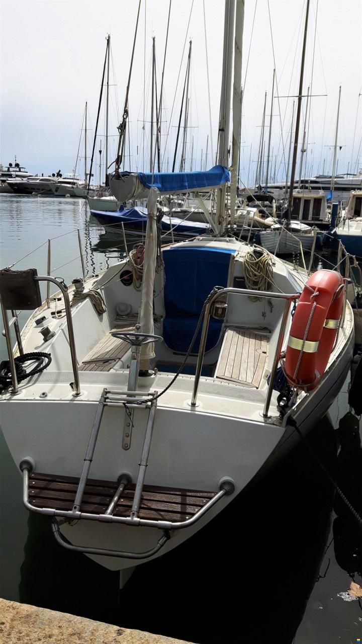 Mallard 9