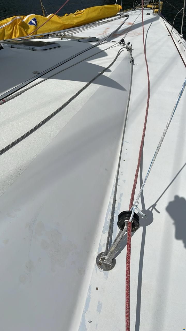 Pogo Pogo40
