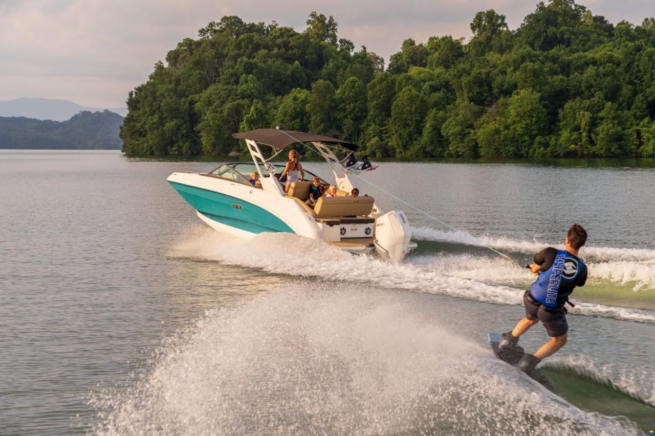 Sea Ray SDX 250