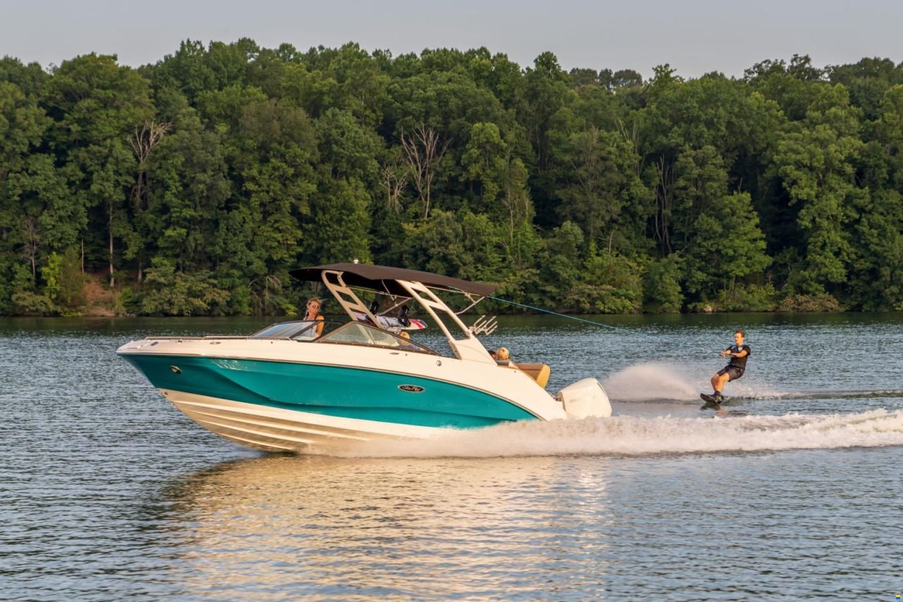 Sea Ray SDX 250