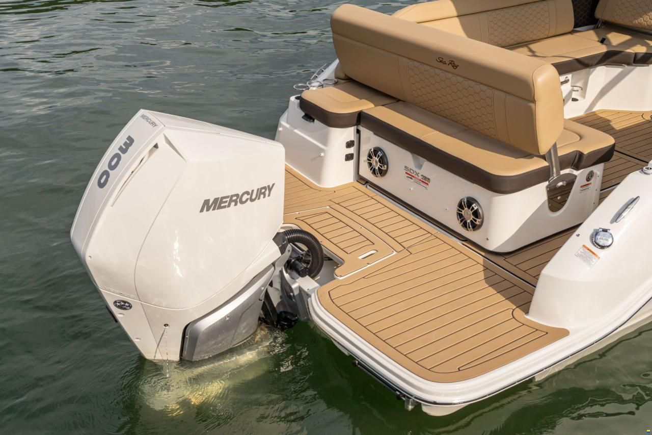 Sea Ray SDX 250