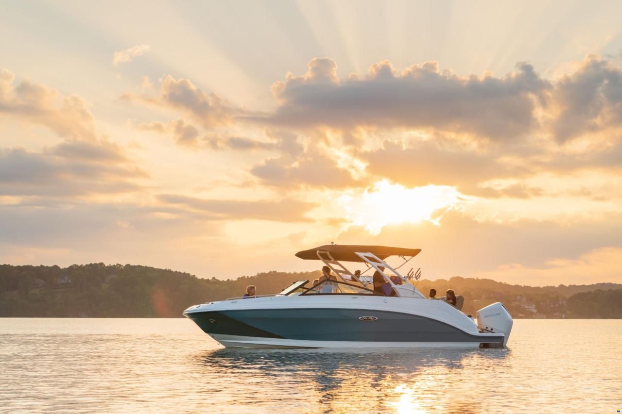 Sea Ray SDX 250