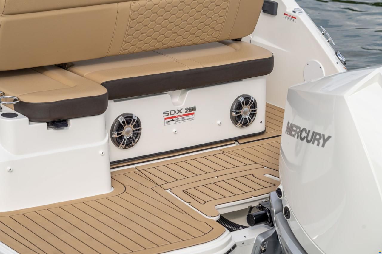 Sea Ray SDX 250
