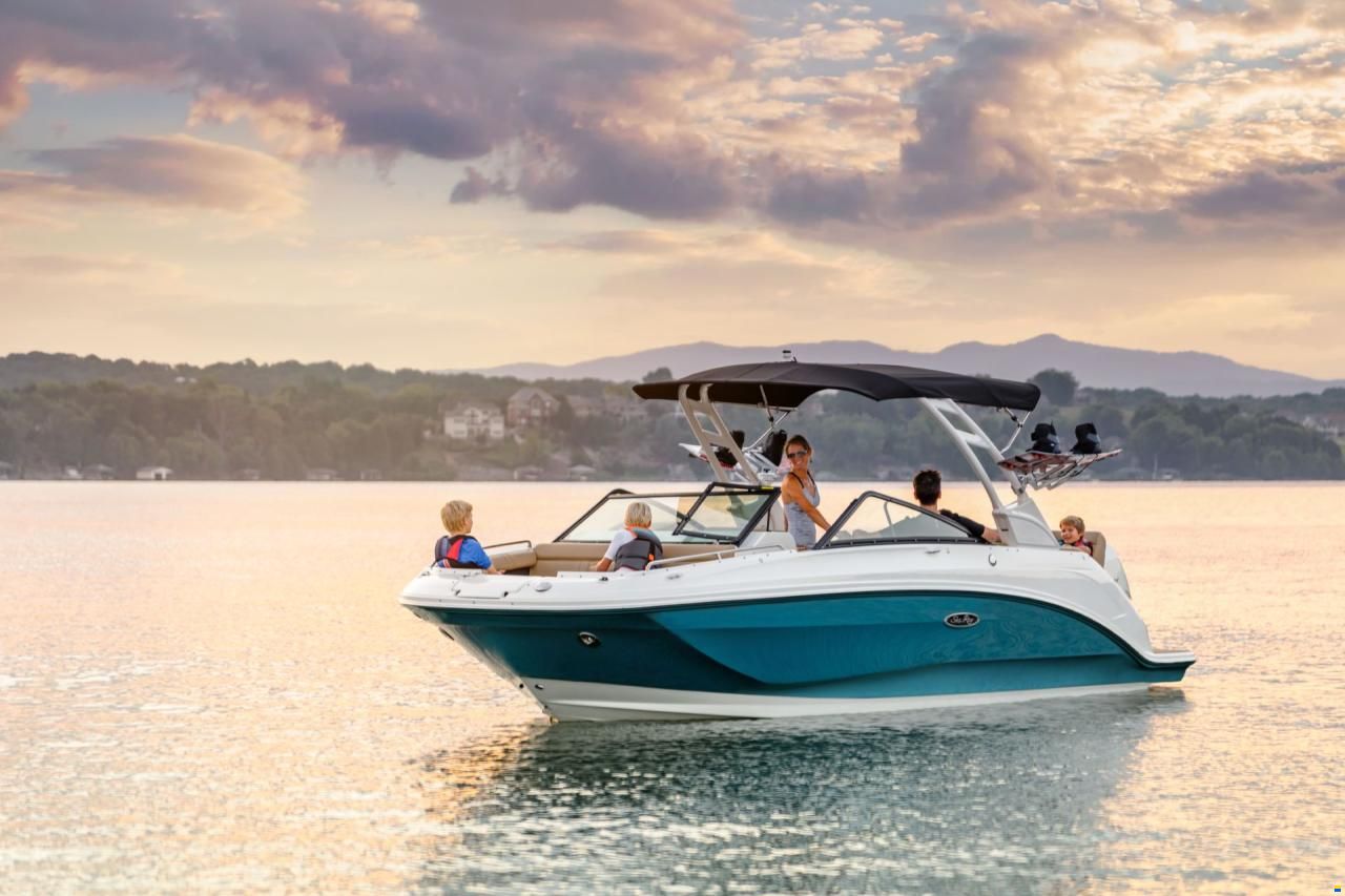 Sea Ray SDX 250