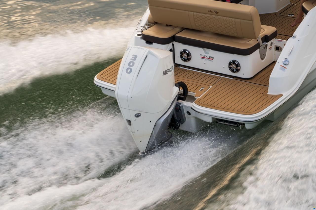 Sea Ray SDX 250