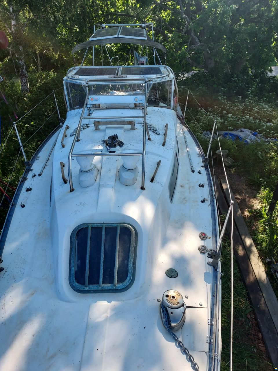 Netta 30