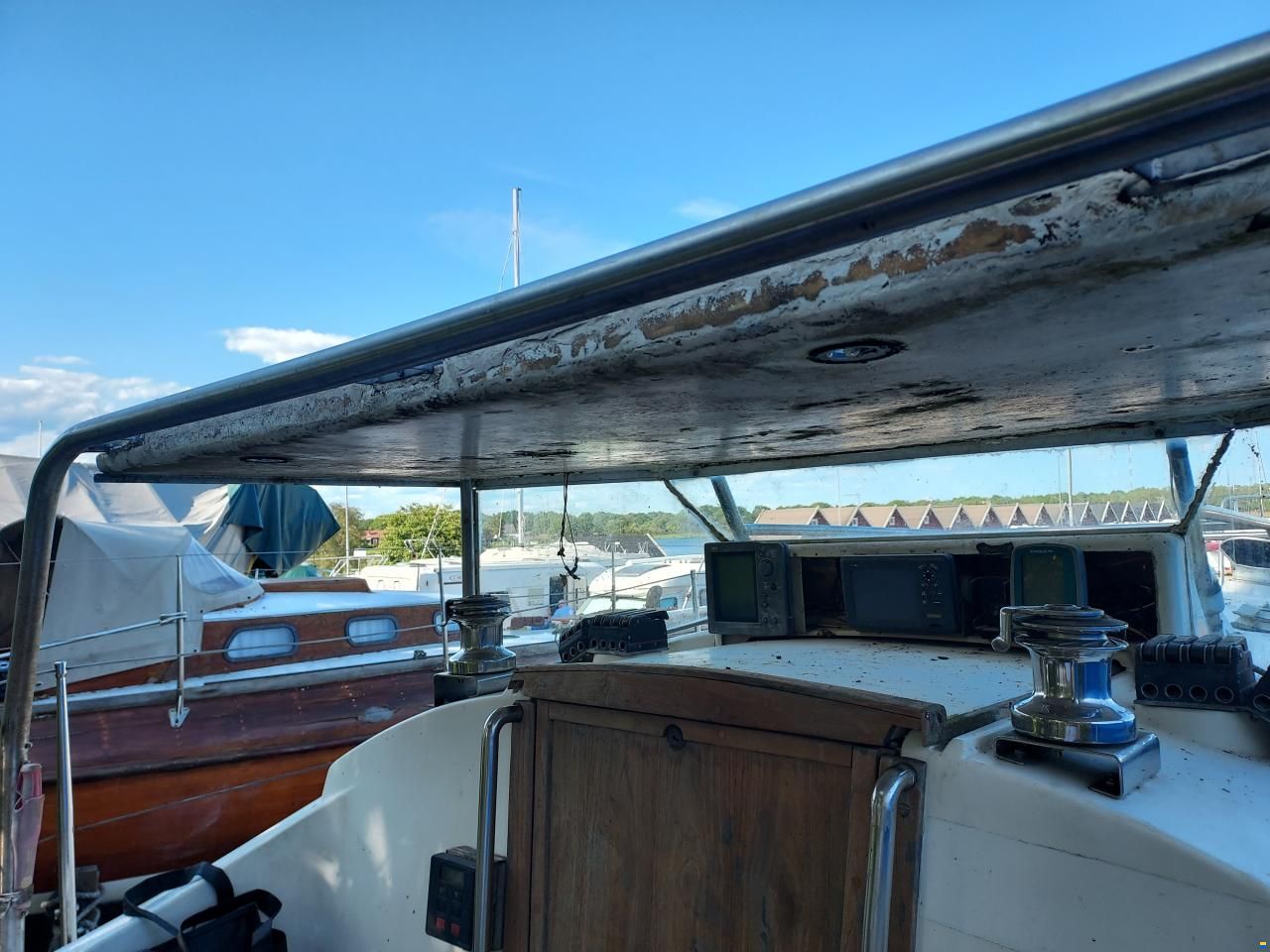 Netta 30