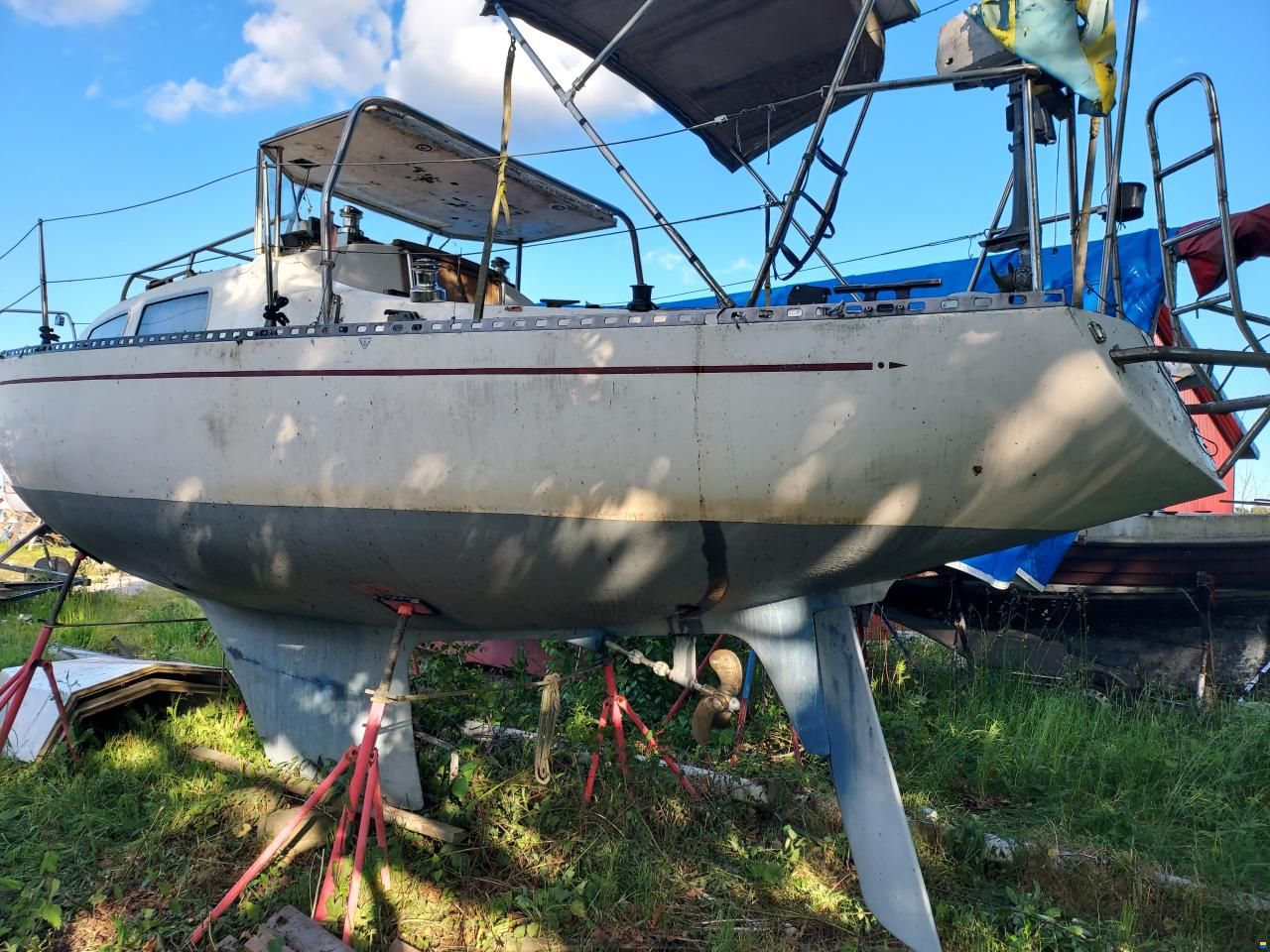 Netta 30
