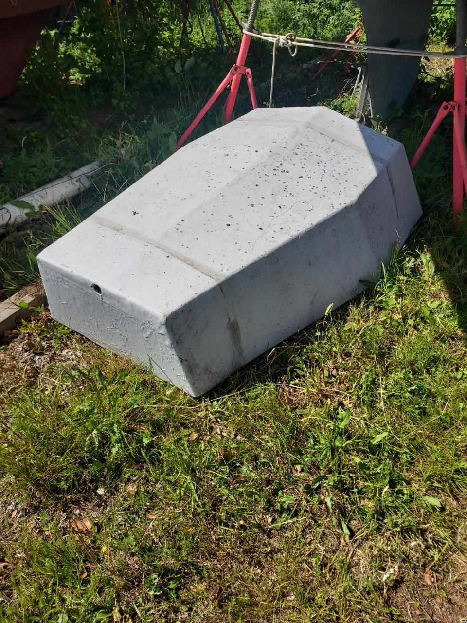 Netta 30