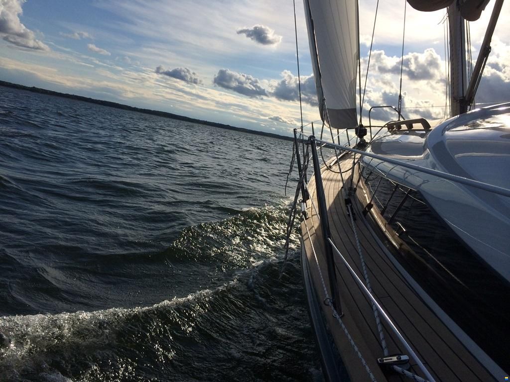 Bora 335