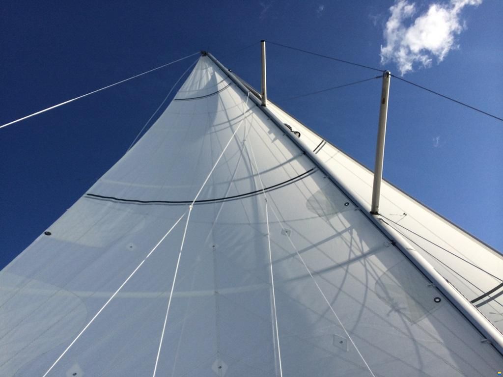 Bora 335