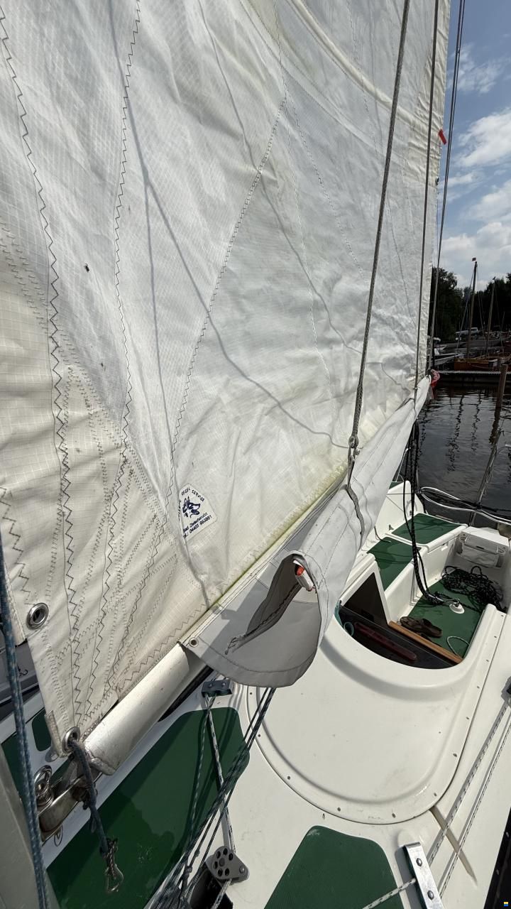 Delphia Sportina 680